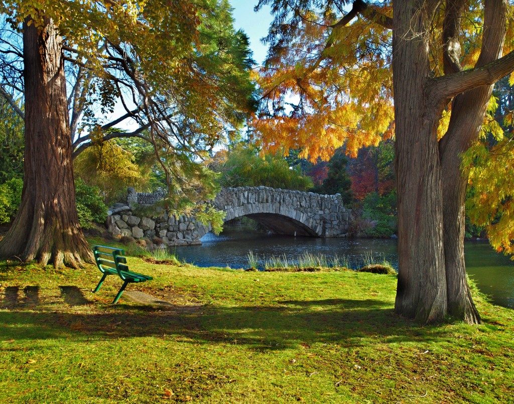 One of the best free things to do in Victoria is to enjoy the scenery in Beacon Hill Park.