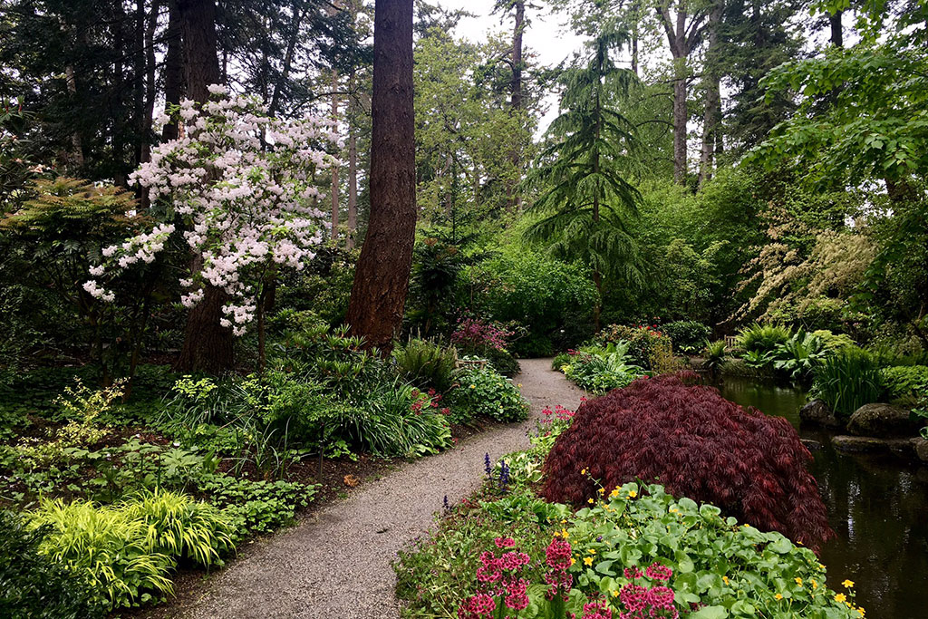 Stroll through Finnerty Gardens, one of the best free things to do in Victoria