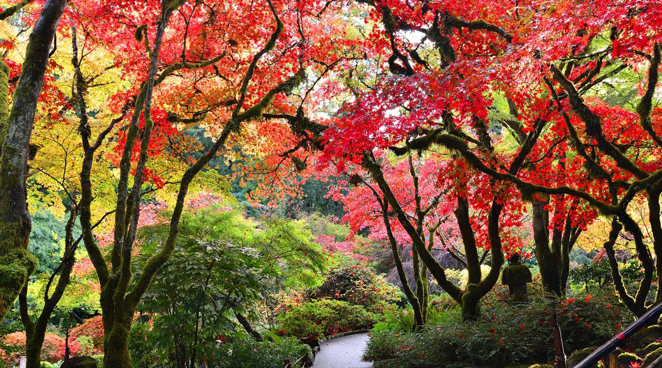 11 Things To Do In Victoria BC This October 11-things-to-do-in-victoria-bc-this-october