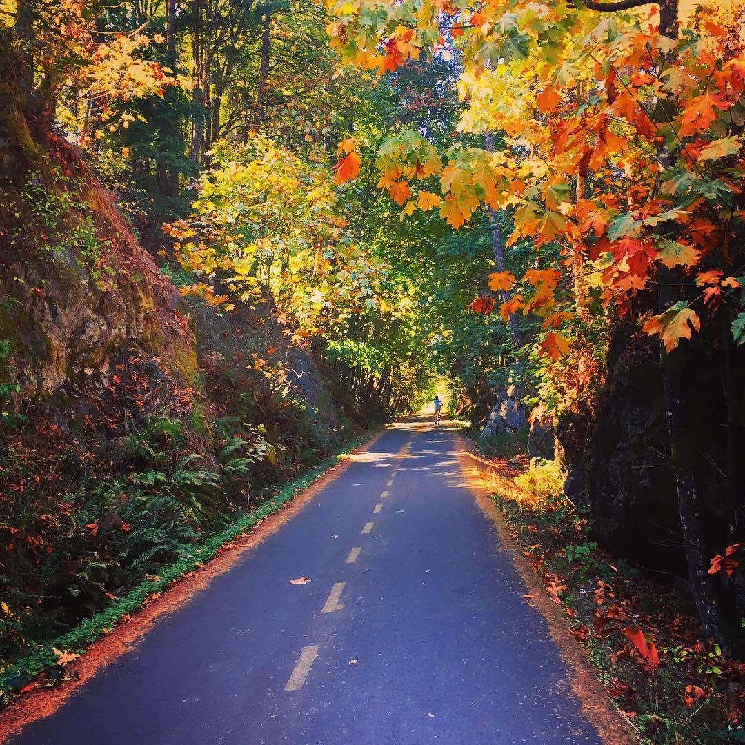 The Galloping Goose Trail is ideal for outdoor adventurers in Victoria BC