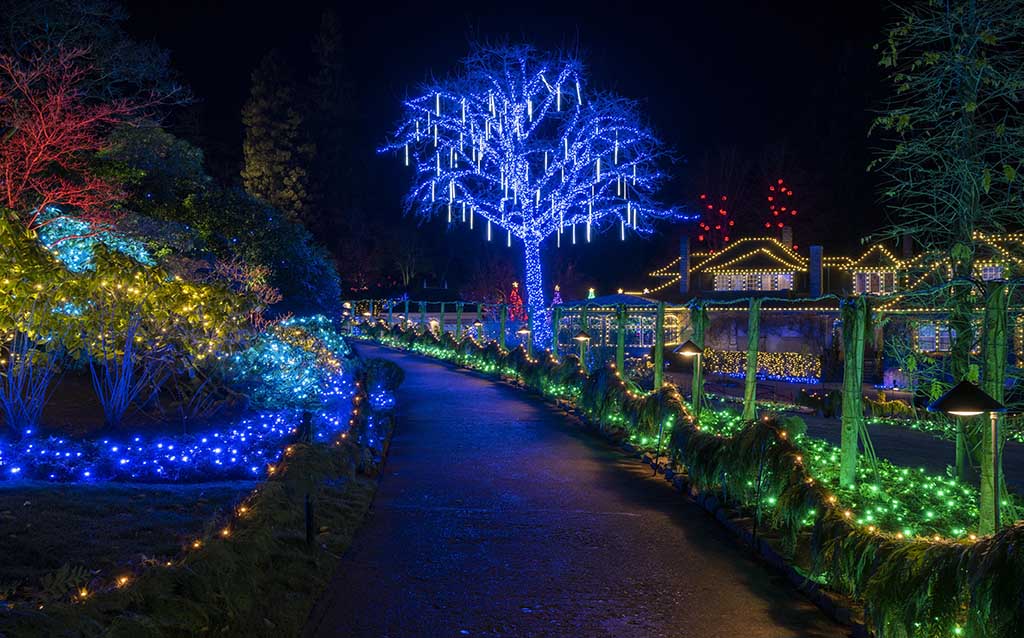 Victoria and the Butchart Gardens Christmas Light Display Tour 2023