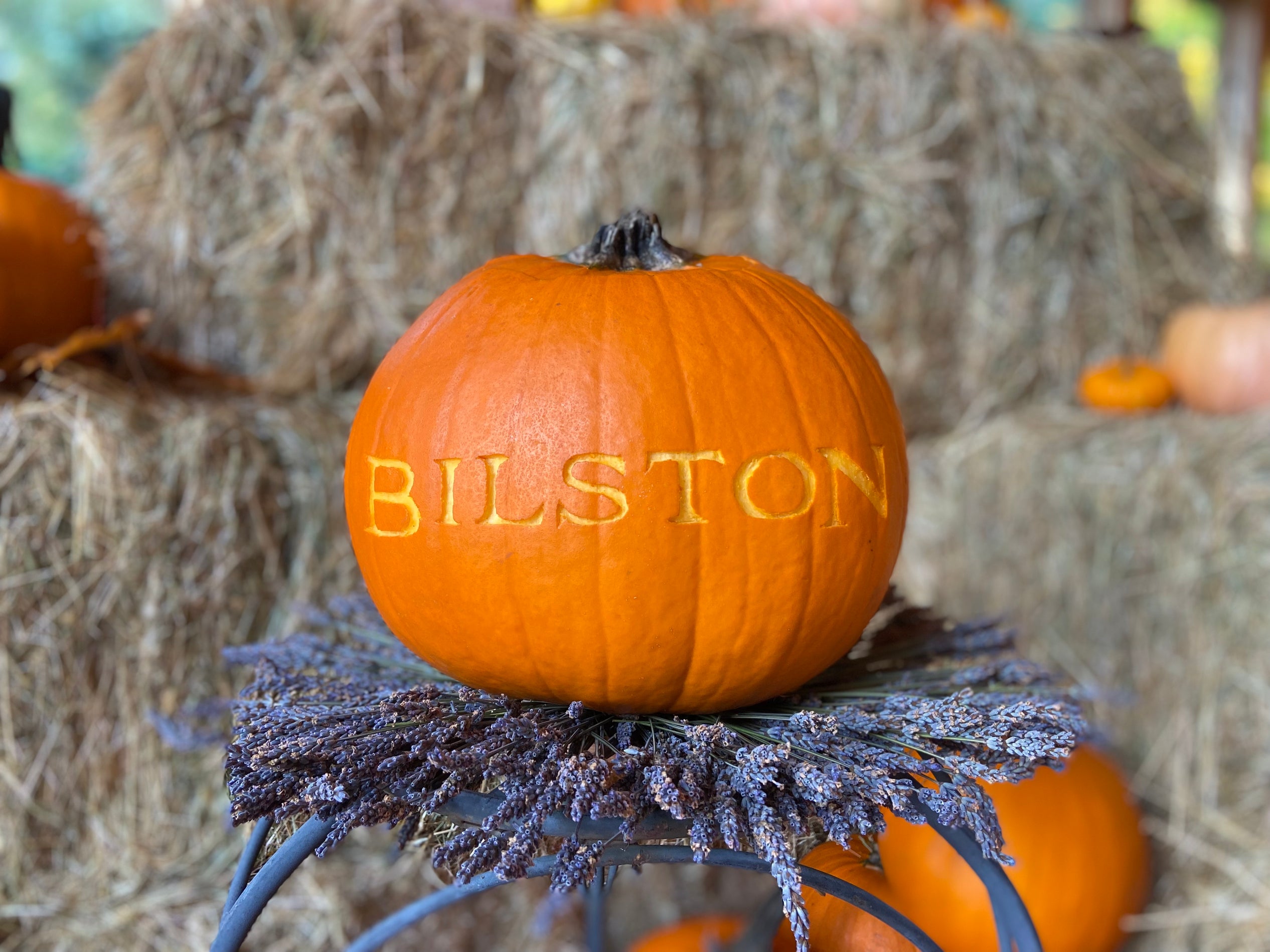 Family Halloween fun near Victoria at Bilston Creek Farm
