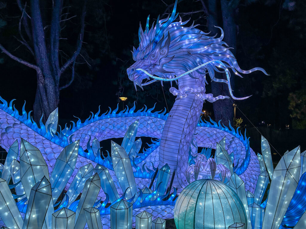 Dragon display at Wild Lanterns