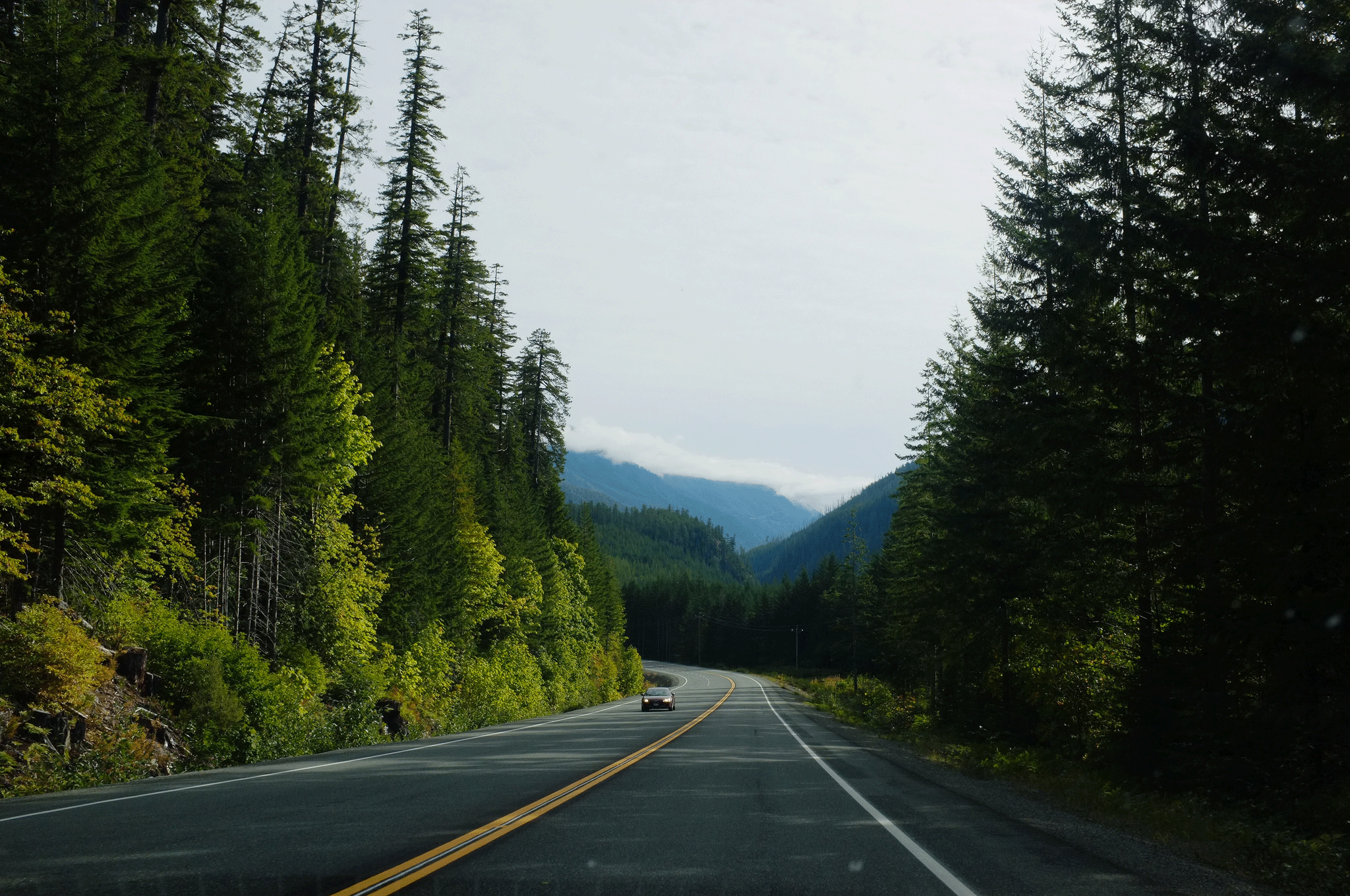 5 Scenic Drives To Explore On Vancouver Island Clipper Vacations Magazine 5-scenic-drives-to-explore-on-vancouver-island-clipper-vacations-magazine