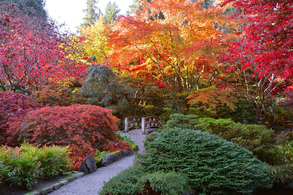 9 Picturesque Spots to See Victoria’s Fantastic Fall Colors - Clipper