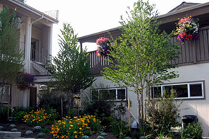 San Juan Islands Packages