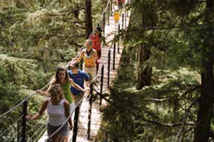TreeTrek Tour