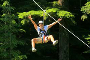 Whistler-Ziptrek Bear Tour
