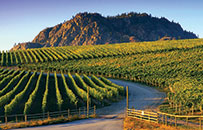 Okanagan Vacations