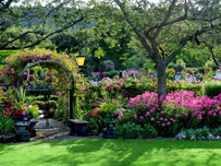 Butchart Gardens Tour