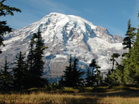 Mt Rainier