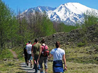 Mt St Helens Tour