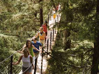 TreeTrek Tour