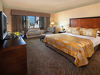 Hotel Room Image Room Image
