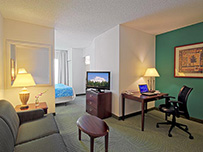 Hotel Room Image Room Image