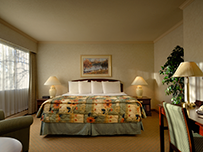 Hotel Room Image Room Image