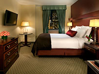 Hotel Room Image Room Image