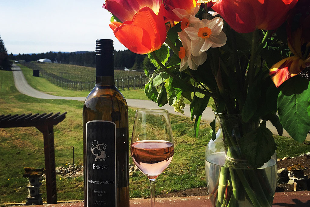 Taste some of Vancouver Island’s finest wines at sprawling vineyards. Photo: Island Time Tours