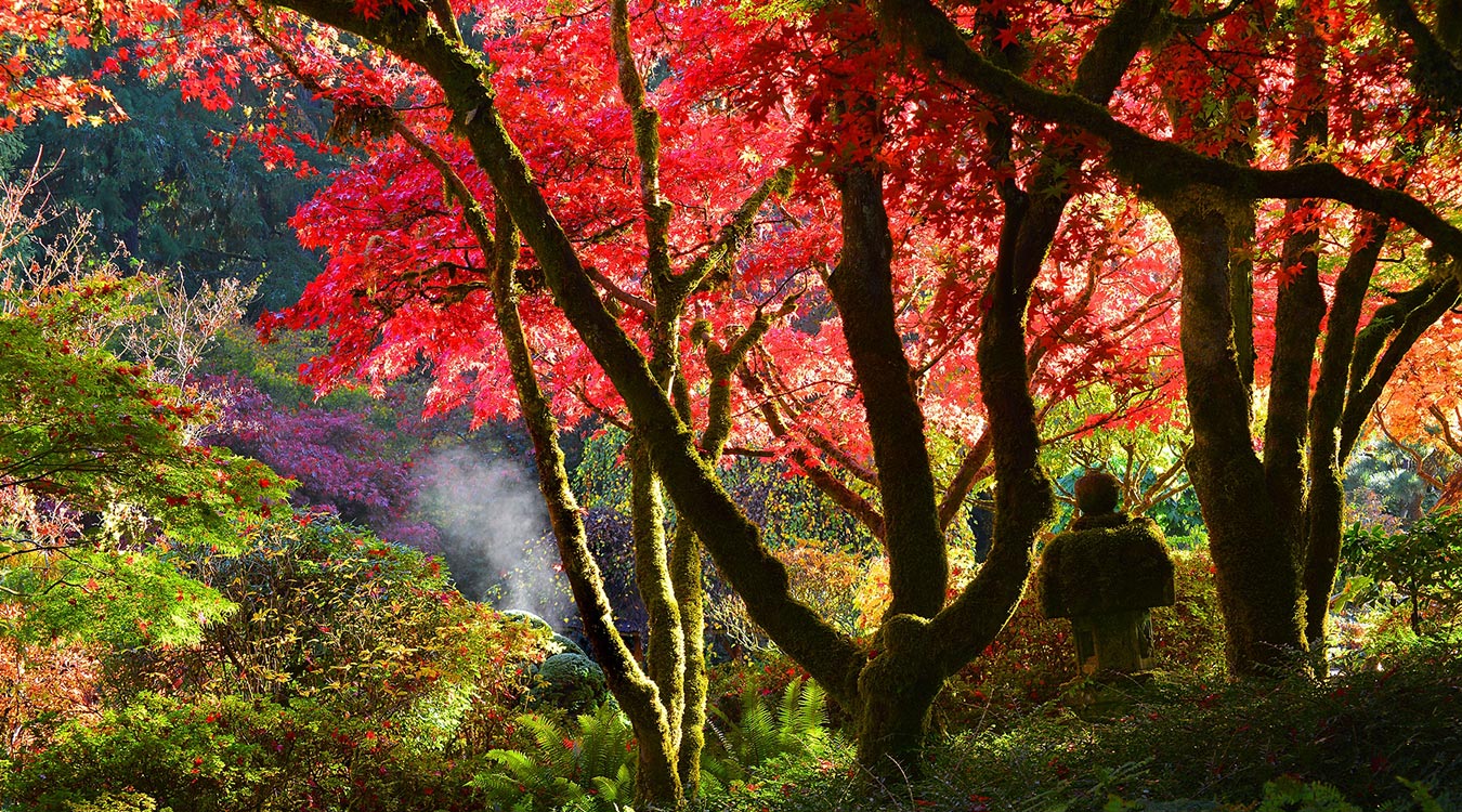 12 Best Places To See Fall Color In The Northwest Clipper
