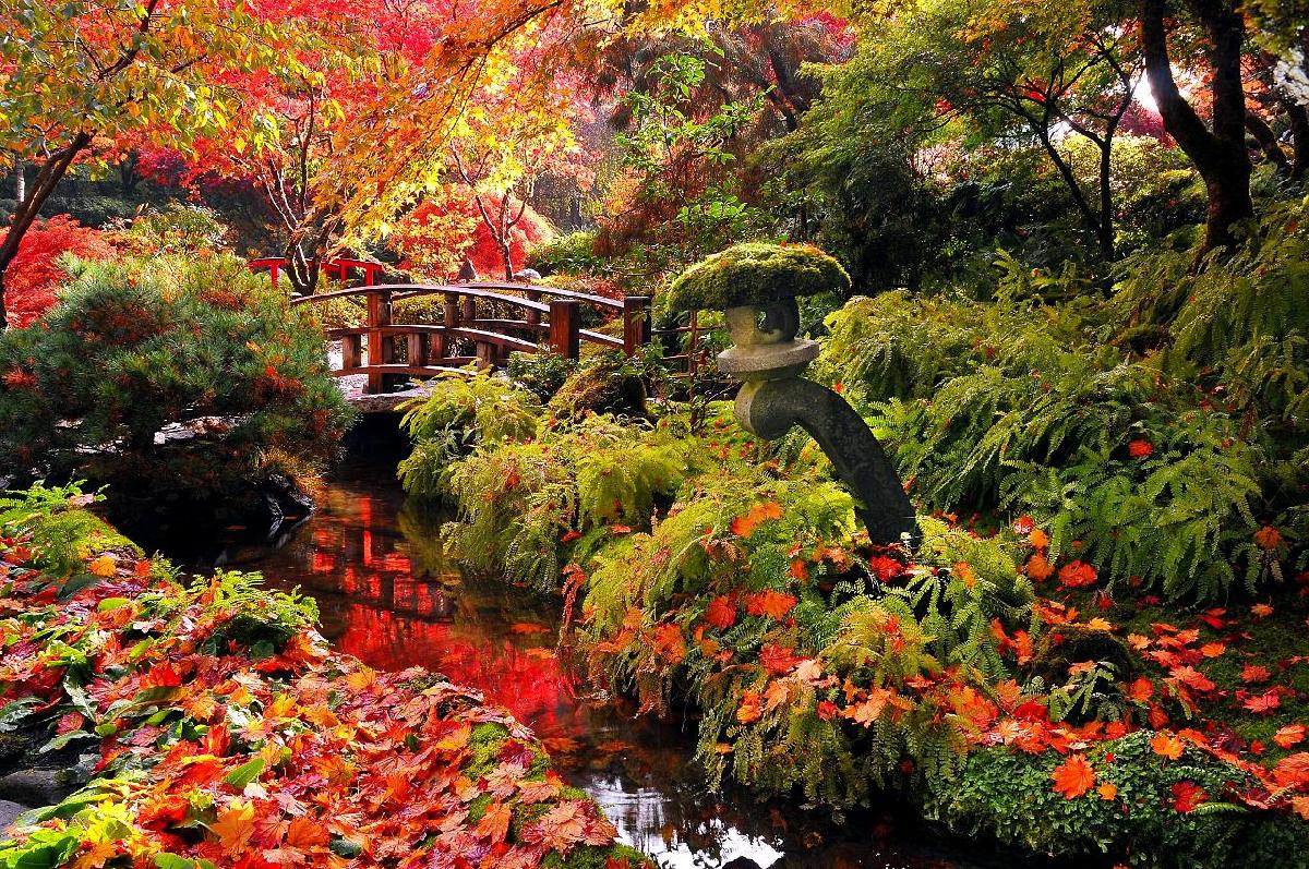 9 Picturesque Spots to See Victoria’s Fall Colors - Clipper Magazine