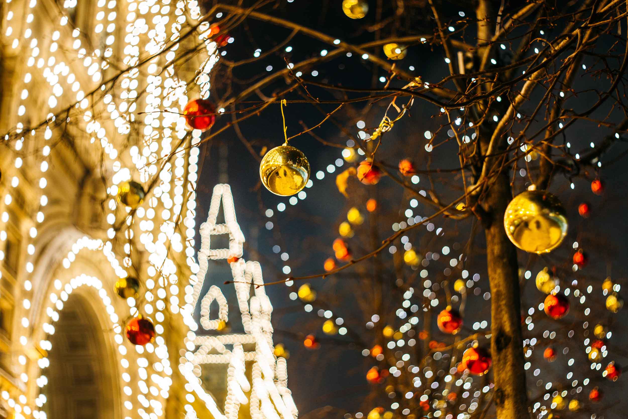 Light Up the Night Where to Find Amazing Holiday Lights in Seattle