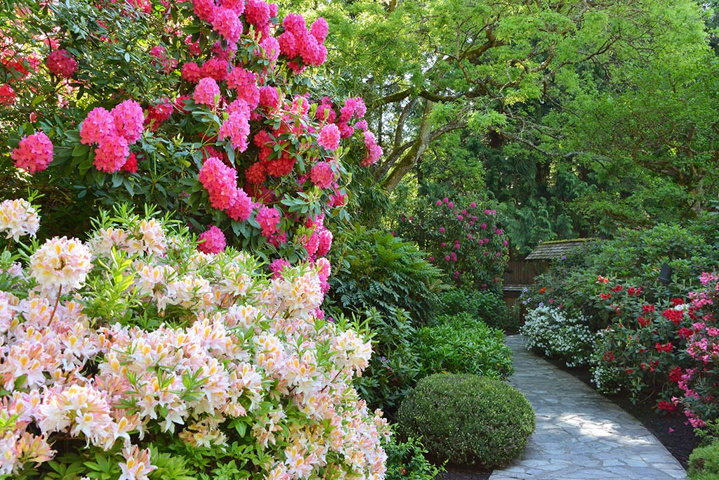 The lush grounds brim with hundreds of unique flowers and plants from all corners of the world. Credit: The Butchart Gardens 
