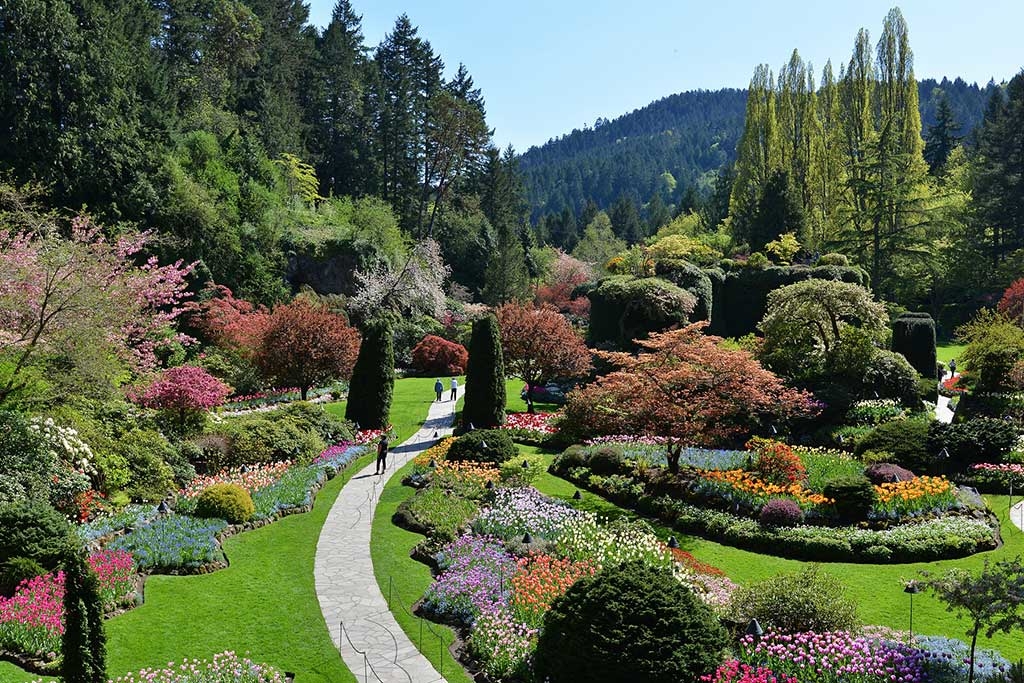 Butchart’s famous Sunken Gardens are a sight to behold. Photo: The Butchart Gardens