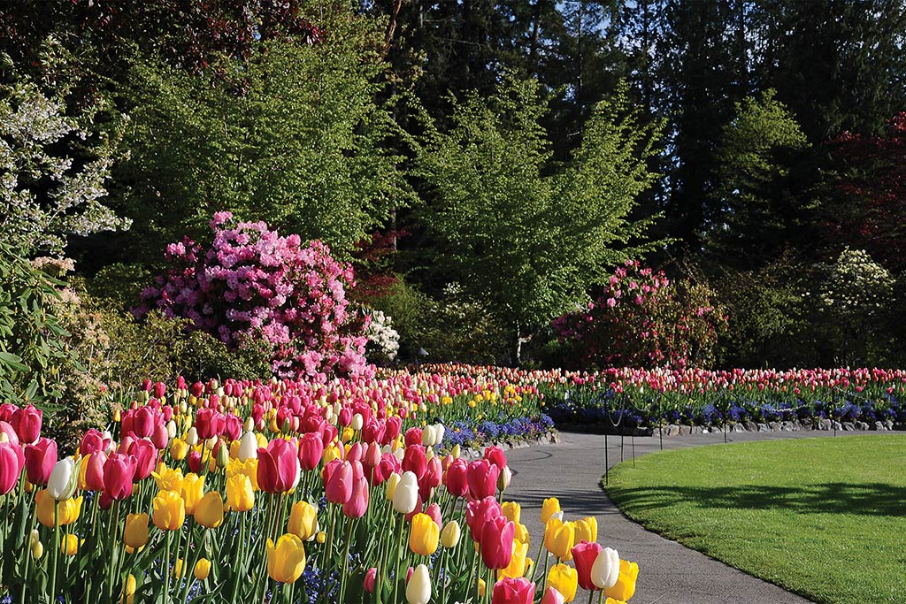 A rainbow of flowers line garden paths. Credit: The Butchart Gardens