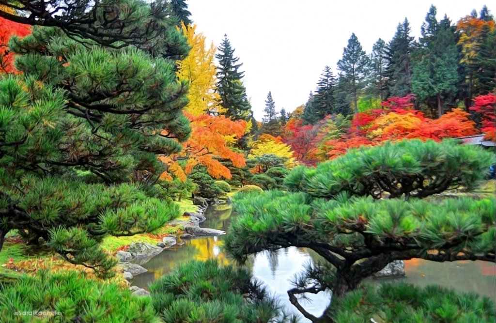 Vivid hues combined with tranquil waters make for a magical landscape. Photo: Rachel Samanyl