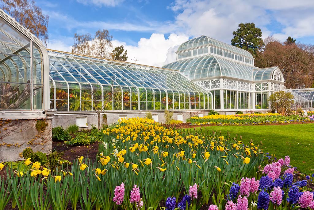 The Volunteer Park Conservatory is made of an intricate wood and iron framework, with 3,426 glass panes.