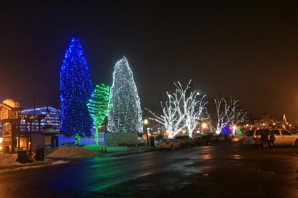 Dazzling, brightly hued trees light up the night sky. Photo: Scott Meis