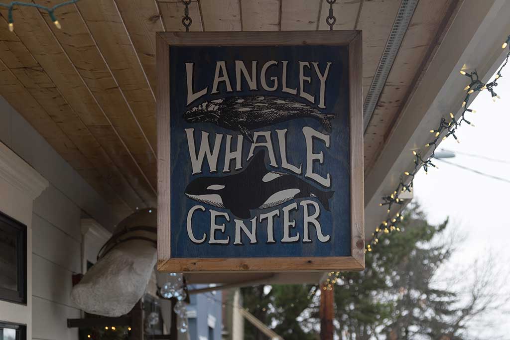 The Langley Whale Center brims with information on our endangered Southern Resident orcas and the small, unique population of North Puget Sound gray whales. Photo: Nick Bentley