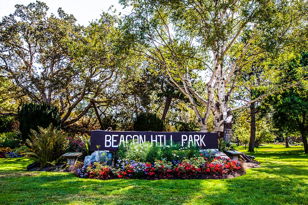 Boasting a variety of vibrant plants and an amazing assortment wildlife, Beacon Hill Park is stunning any time of year. Credit: Tourisim Victoria