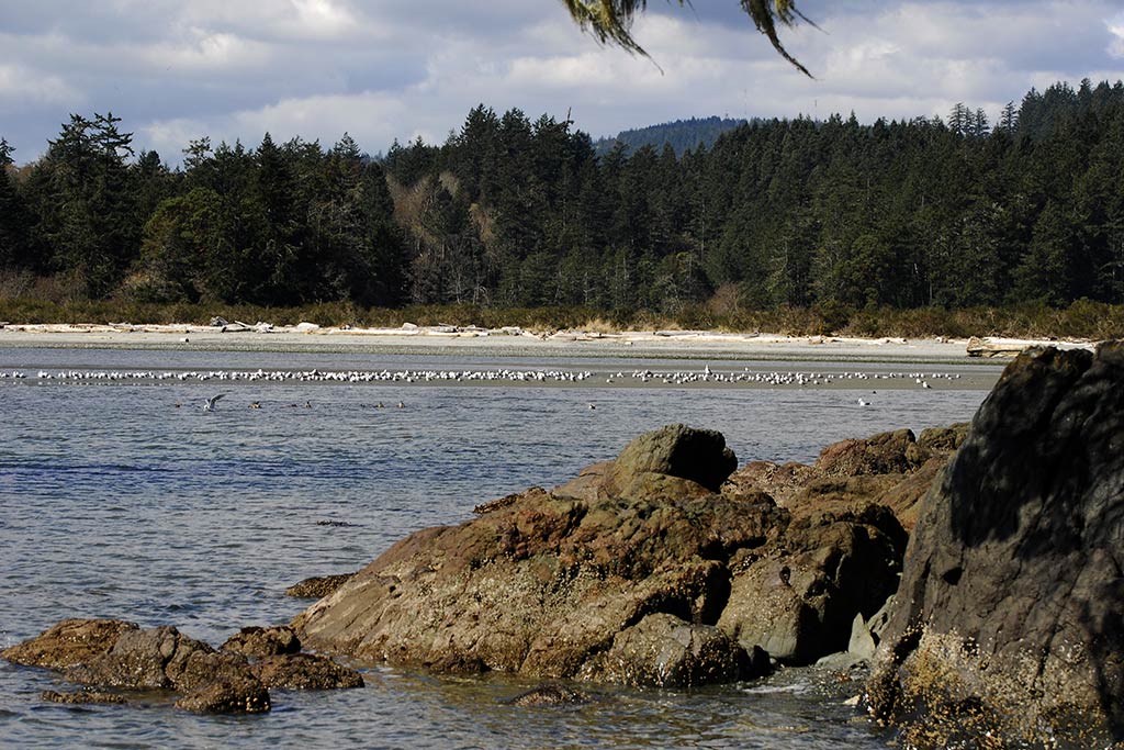 Dig your toes into the soft sand surrounding Witty's Lagoon. Credit: DSLr Book