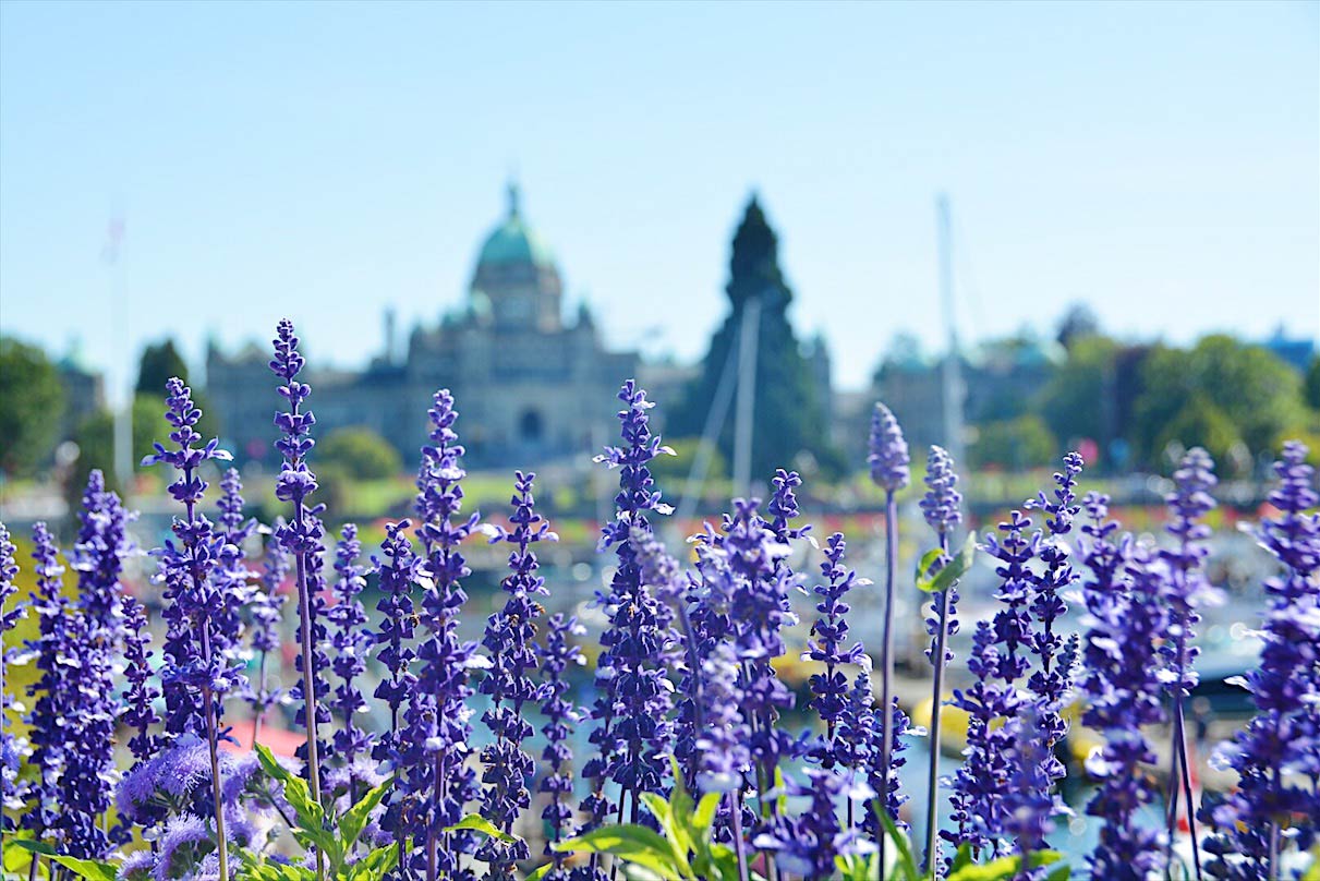 Filming locations in Victoria, BC include the Parliament Buildings.