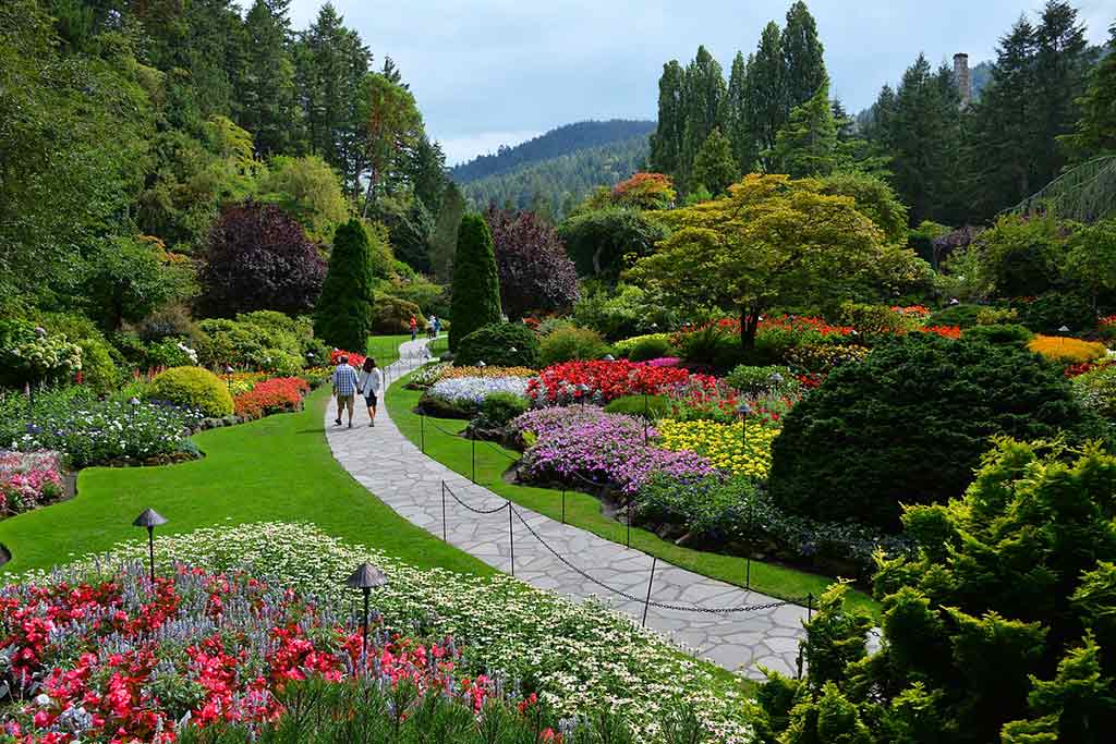Stroll among vibrant blooms in the iconic Sunken Garden. Credit: The Butchart Gardens