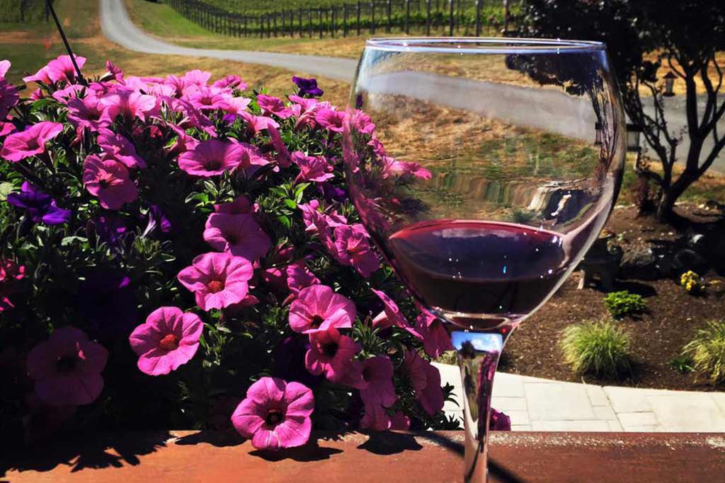 Taste some of Vancouver Island’s finest wines at sprawling vineyards. Credit: Island Time Tours