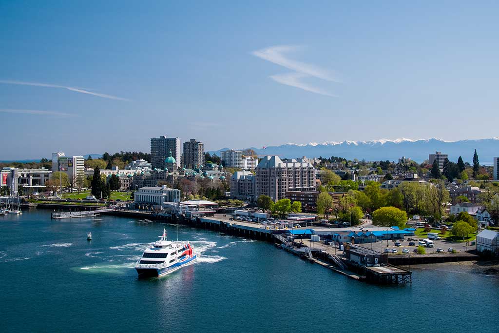 Duck out onto the back deck of the Clipper V to catch amazing views as you cruise out of the Inner Harbour. 