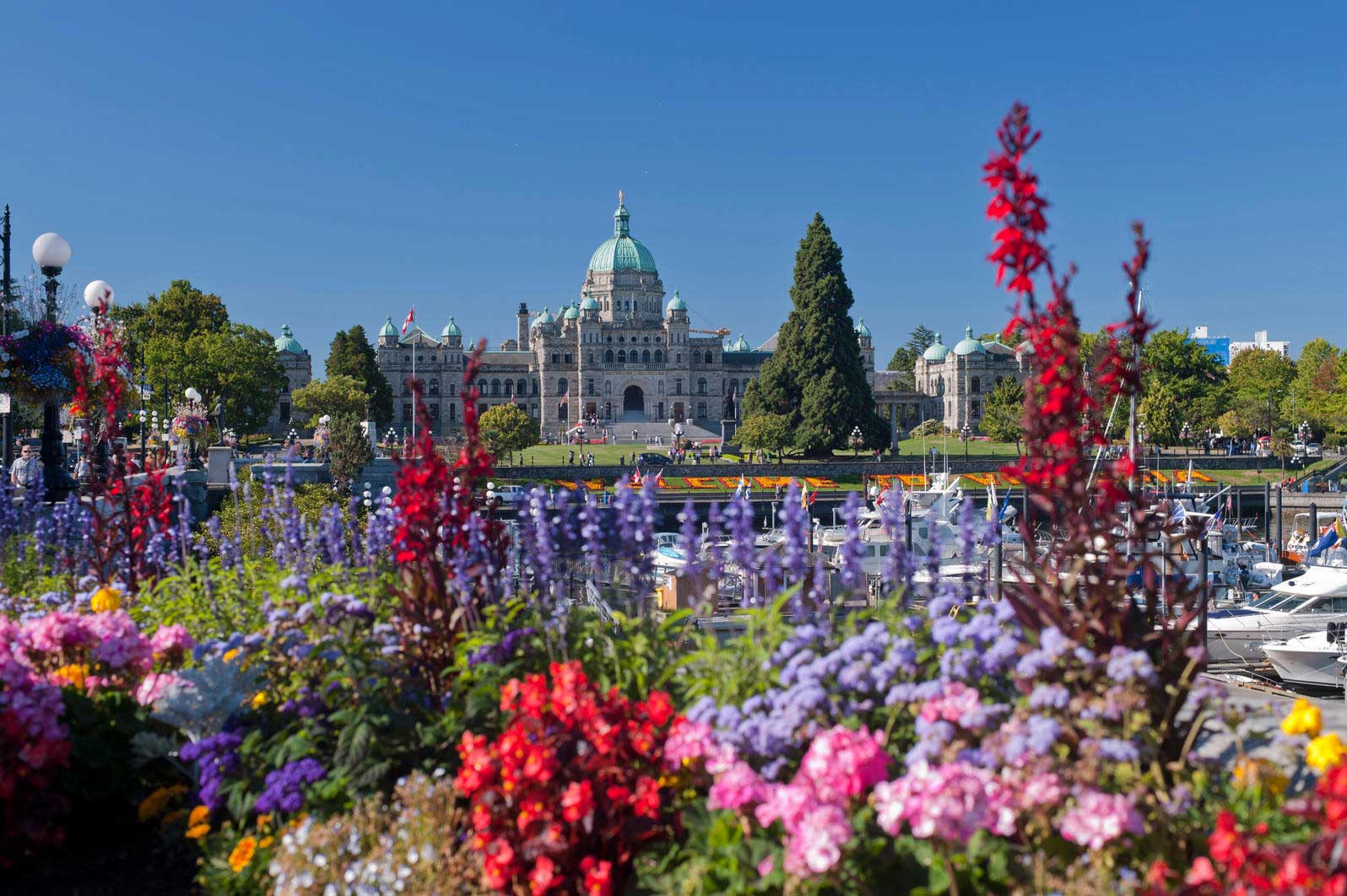 8 Hours In Victoria A Day Trip To Bc S