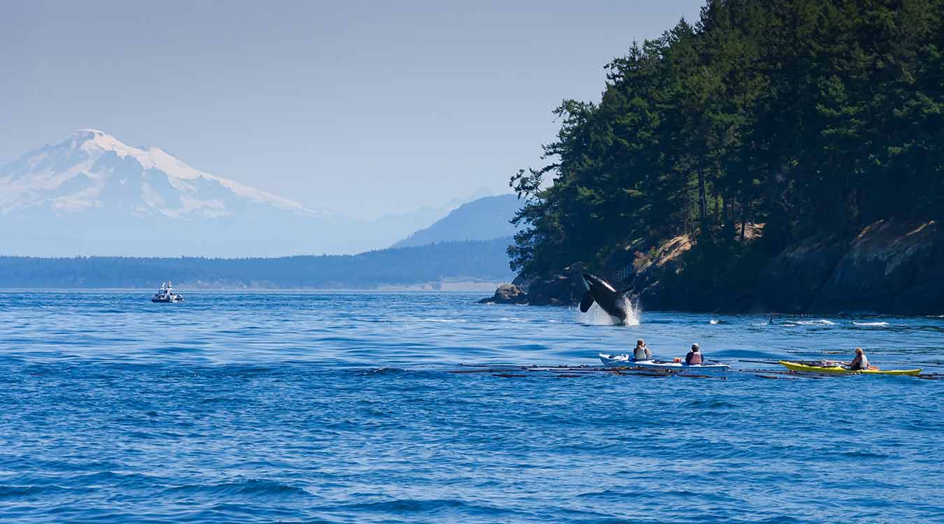 25 Things to Do on San Juan Island this Summer  Clipper Magazine