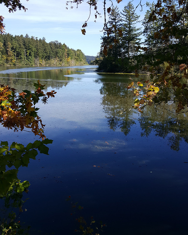 Elk Lake_Bill 2 Million
