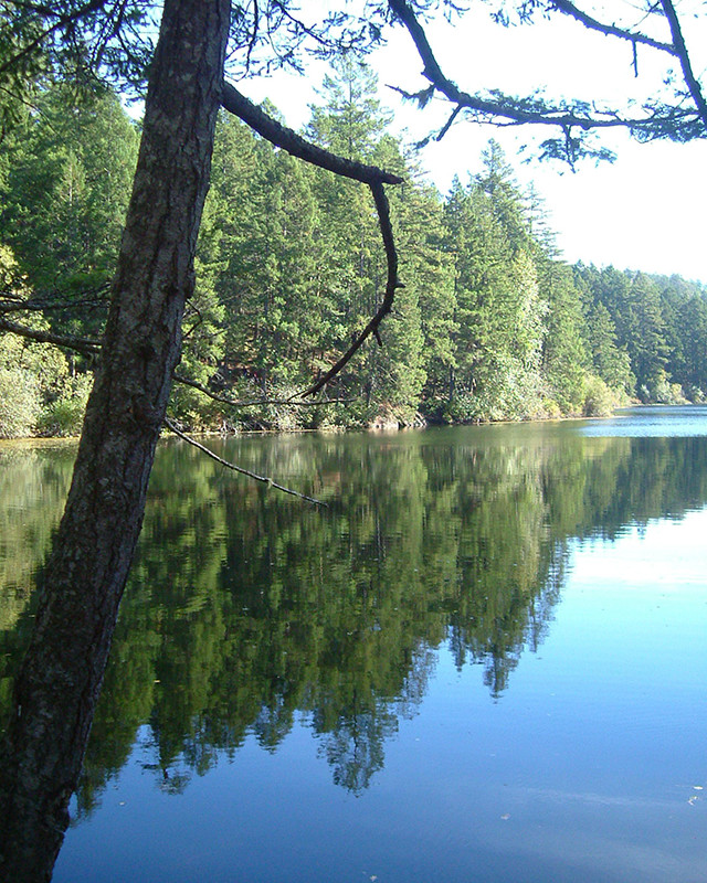 Thetis Lake_Robin Sutherland
