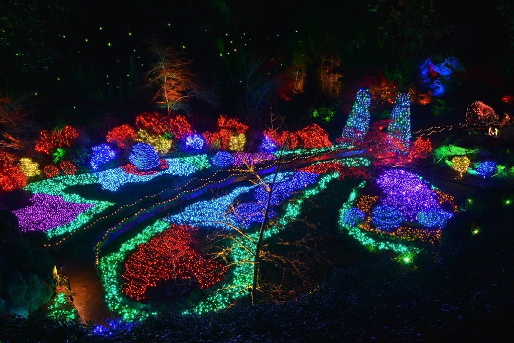 Pathways, flower beds, trees and shrubs are all adorned in Christmas lights. Credit: The Butchart Gardens