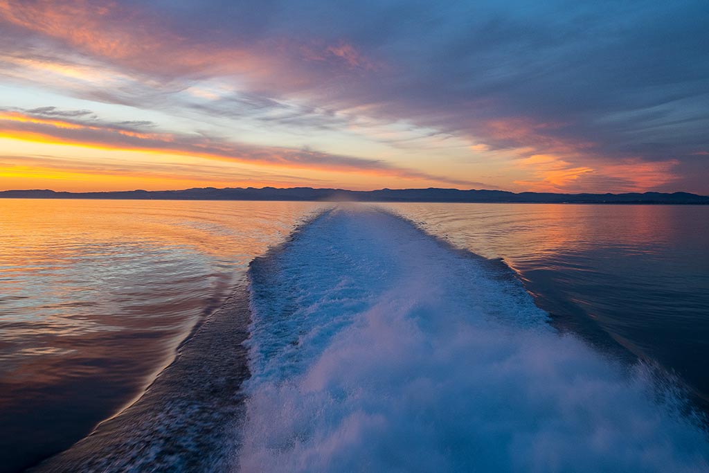 Catch a phenomenal sunset from the back deck of the Victoria Clipper on the cruise back to Seattle.