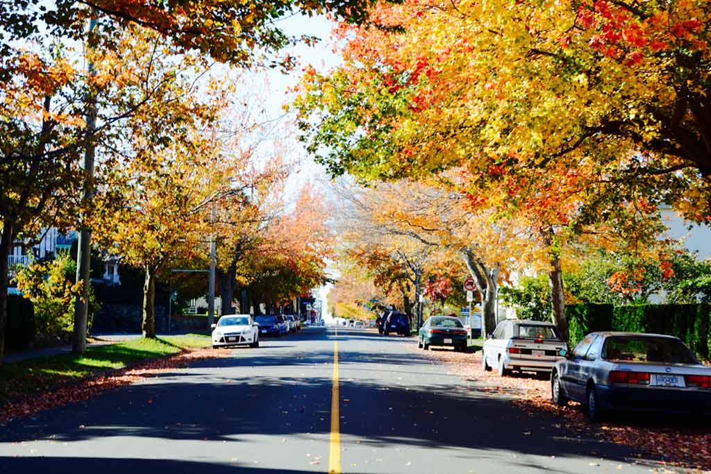 The scenic James Bay neighborhood is the perfect locale for an afternoon stroll. Credit: Scott Meis
