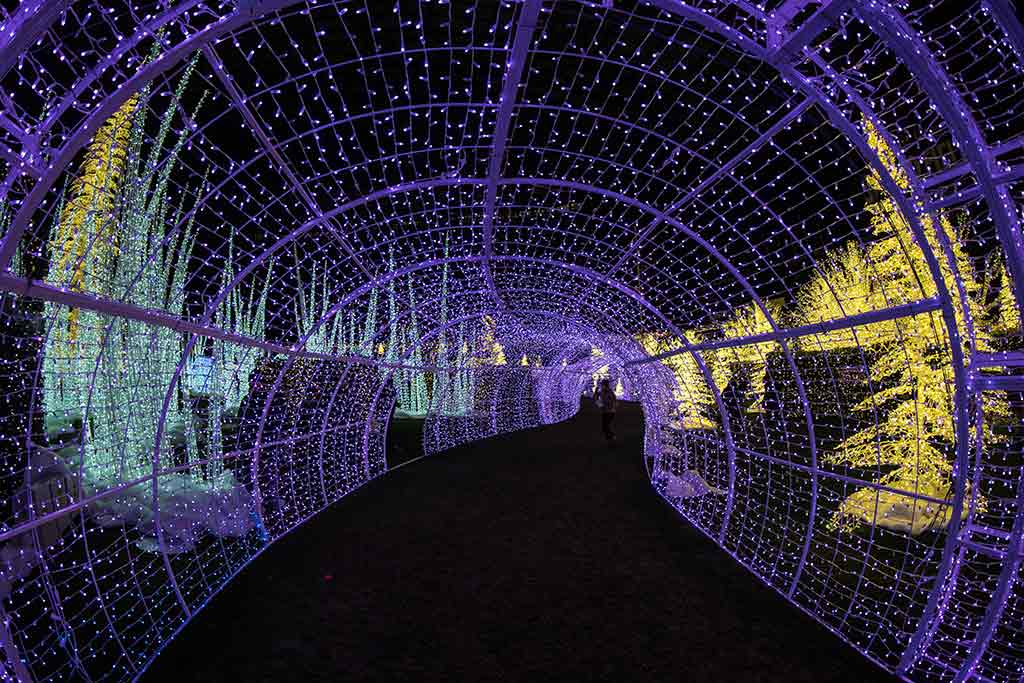 Soak in thousands of lights as you wander through Enchant's glittering maze. Credit: Casey Boothman