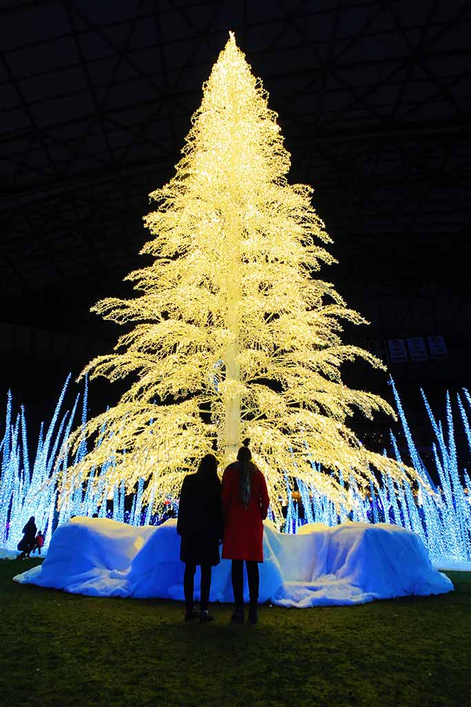 At 80-feet-tall, Enchant's Christmas tree is a sight to behold. Credit: Scott Meis