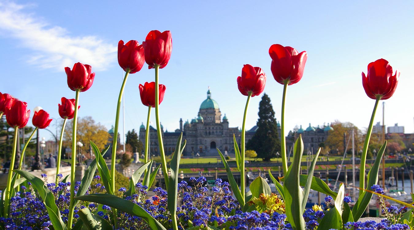 places to visit in victoria during spring