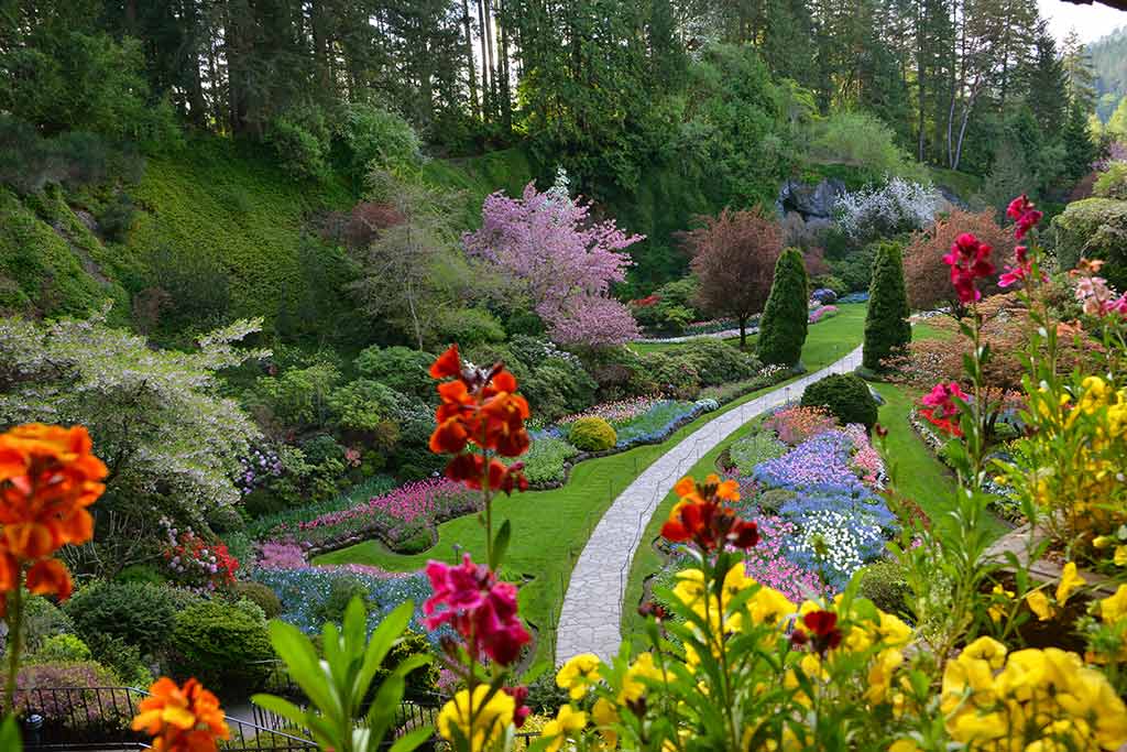 The Butchart Gardens' crown jewel, the Sunken Gardens are a sight to behold. Credit: The Butchart Gardens