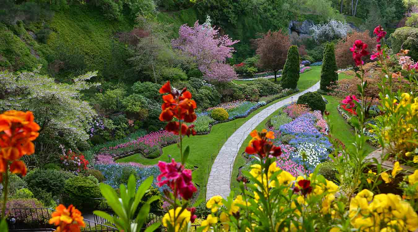 Image result for butchart gardens history